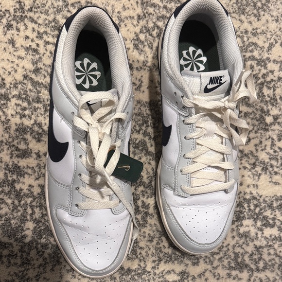 Nike Other - EUC Nike Dunk Low Men’s sneakers. US Size 10.